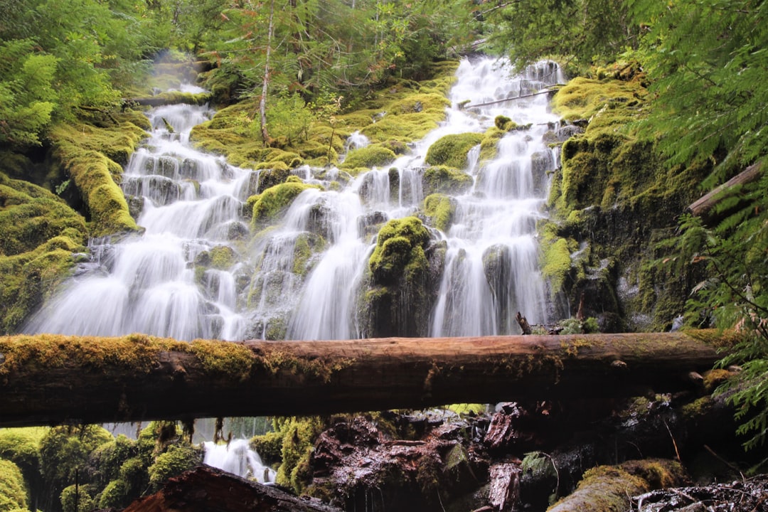 Discovering the Beauty of Abiqua Falls